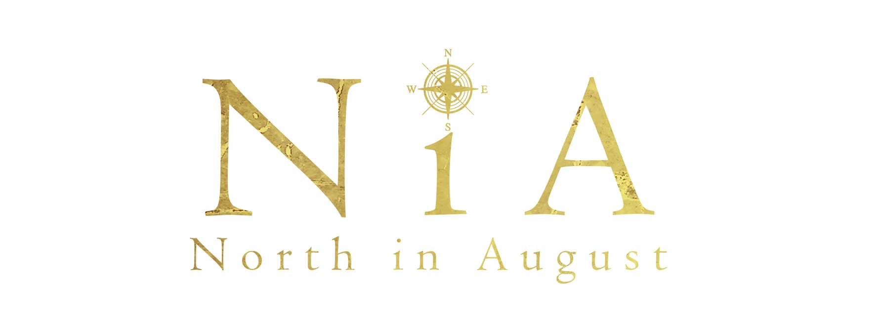 NiA banner- websize.jpg