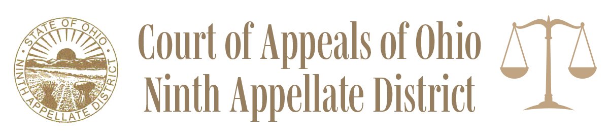 9th District Court of Appeals (Copy)