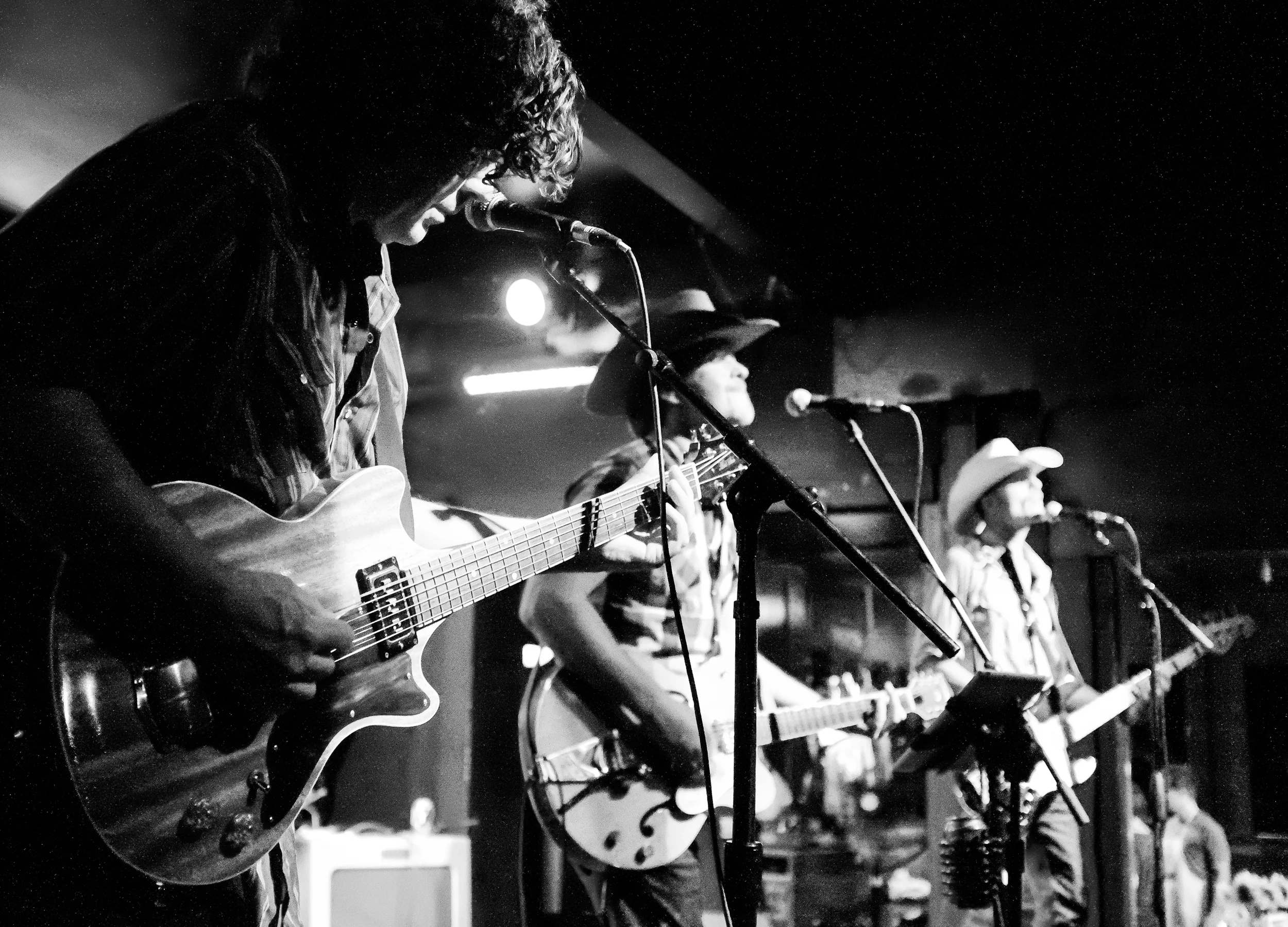 the jolenes, 2014