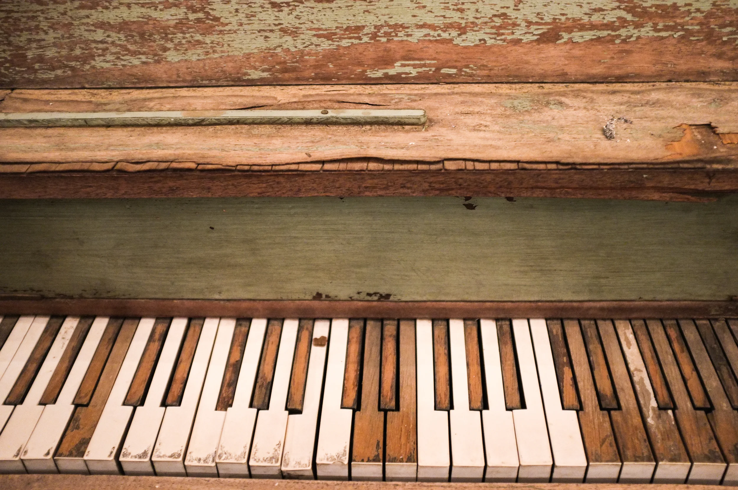 desert ivories, 2015
