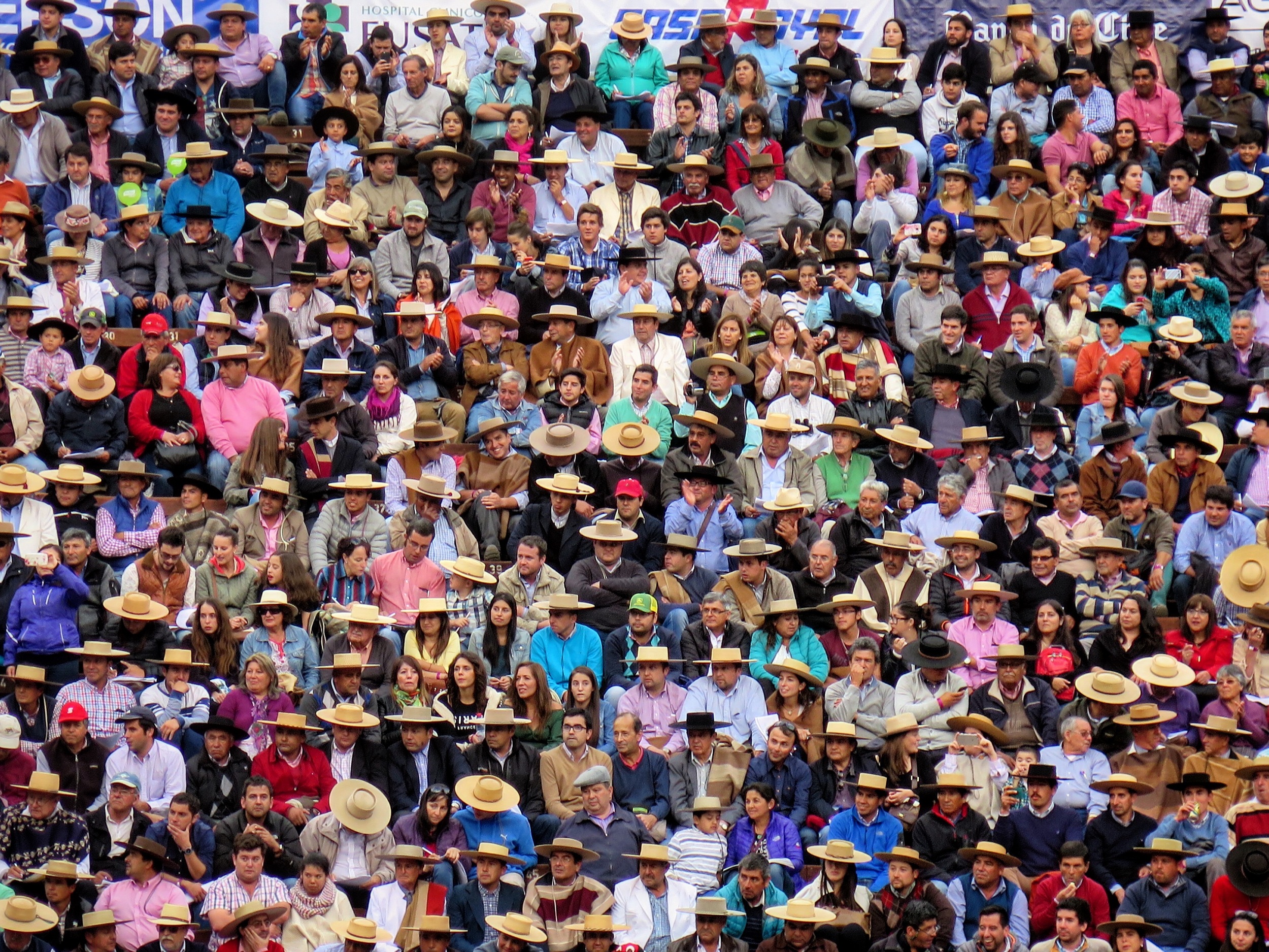 hats and hats and hats, 2016