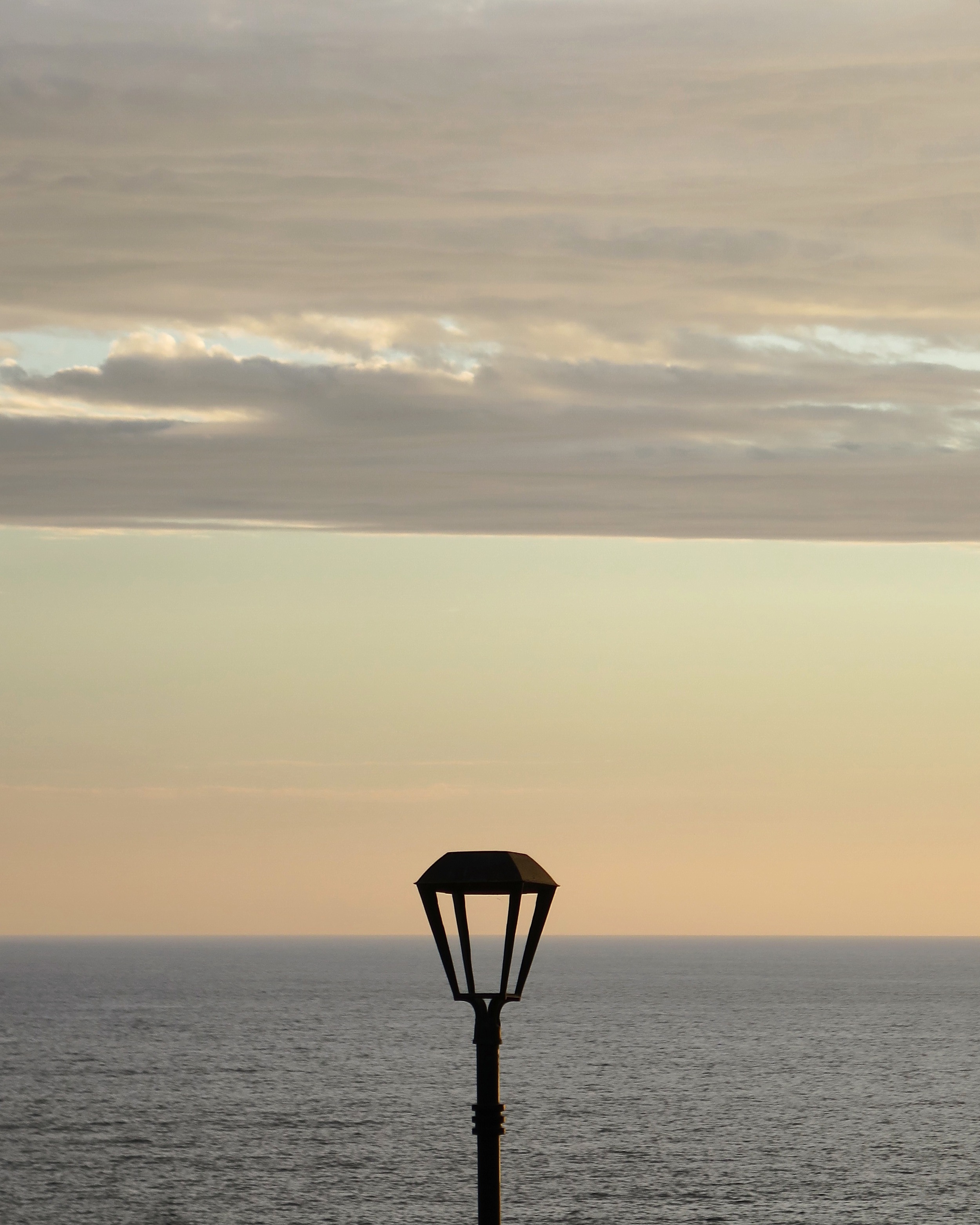 pacifico, 2016