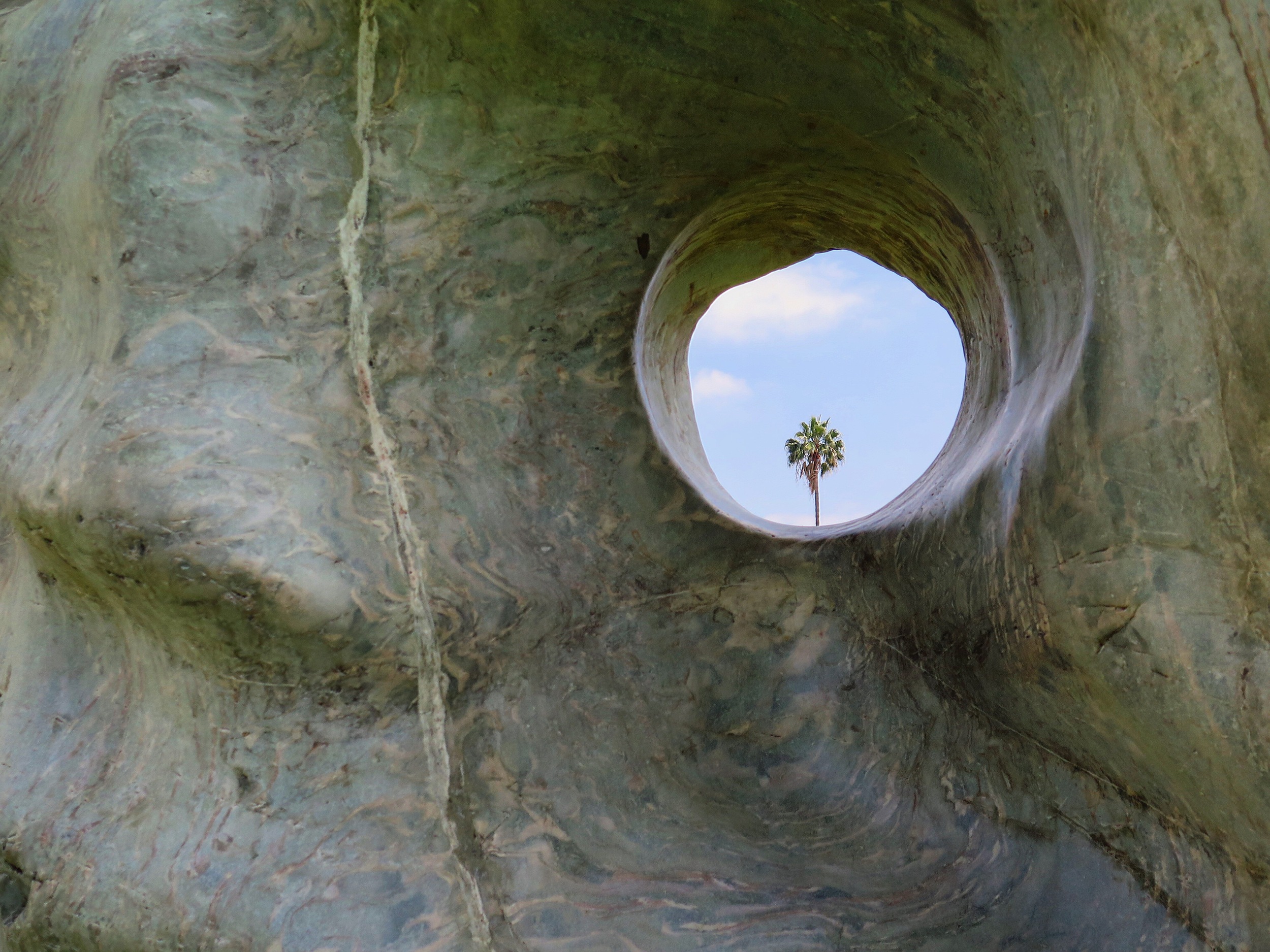 little window to paradise, 2016
