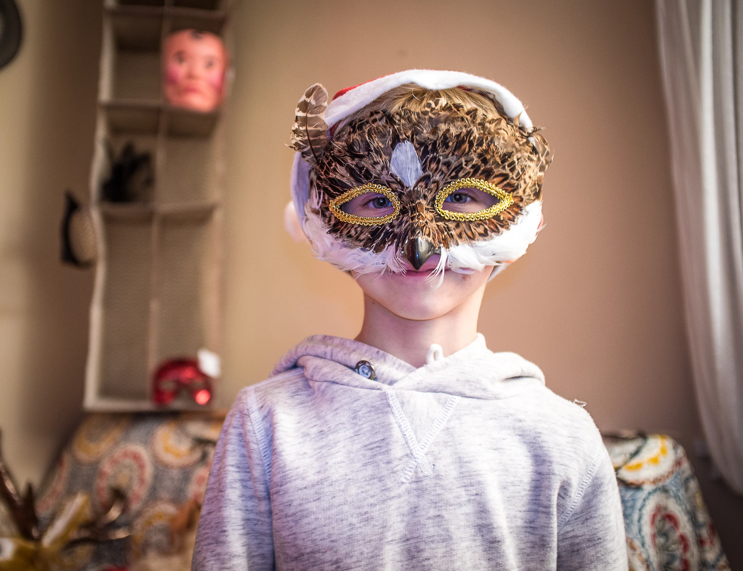 christmas owl, 2016