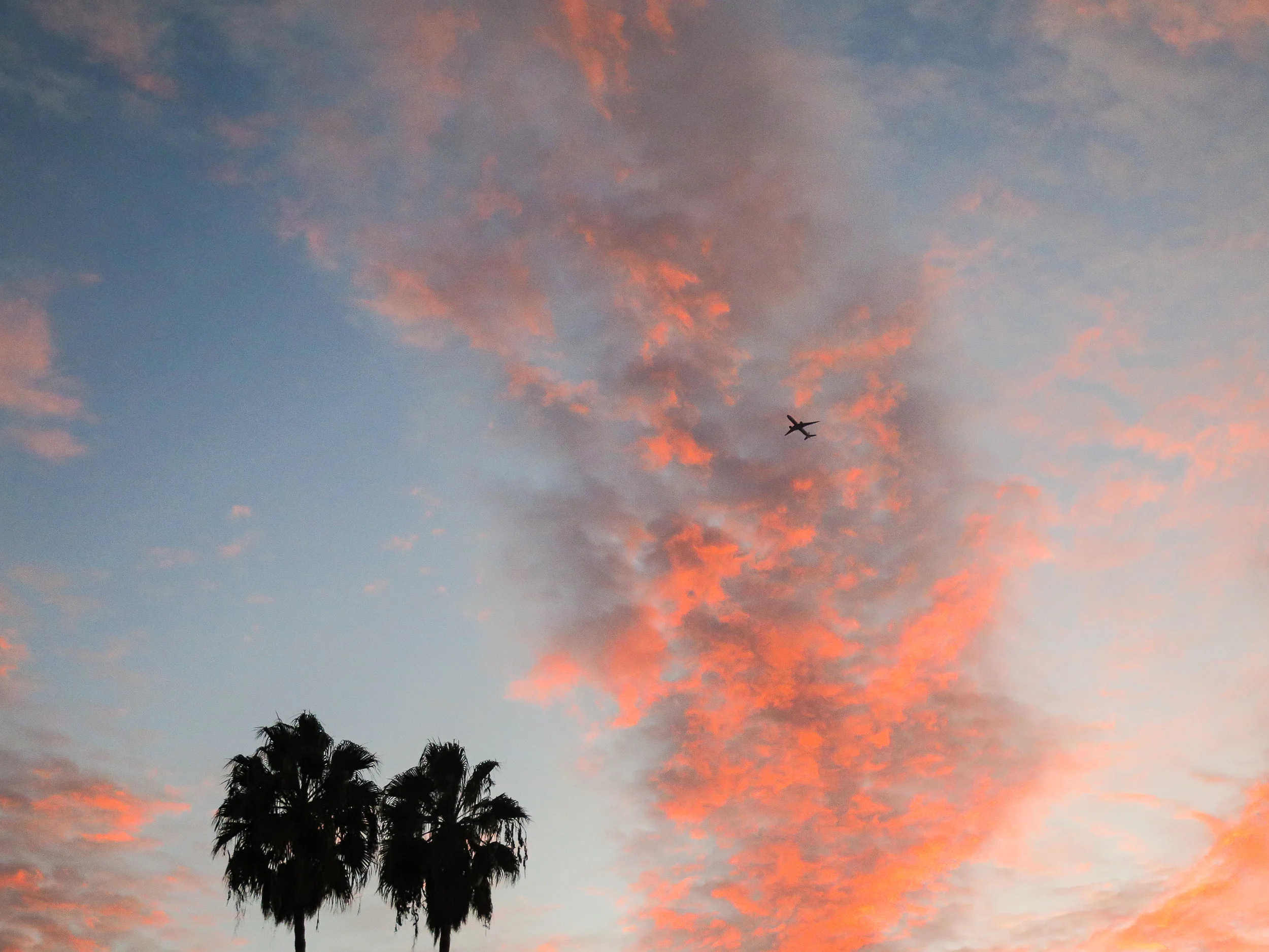 hustle bustle sky, 2016