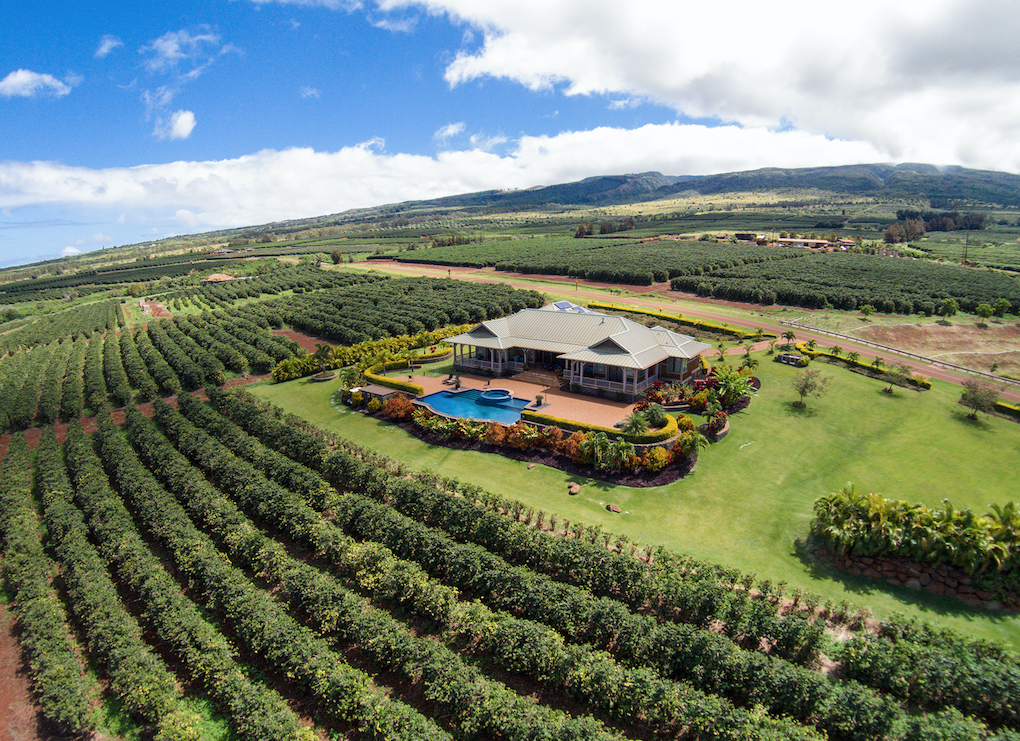 Ka‘anapali Coffee Farms: Mission Accomplished