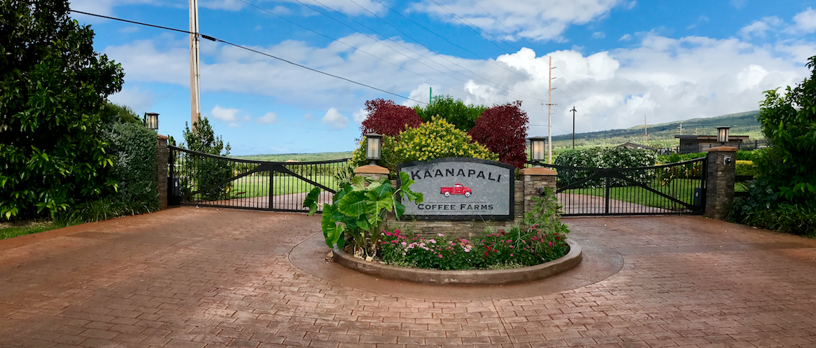 Screen Shot 2019-01-16 at 8.34.45 AM.png