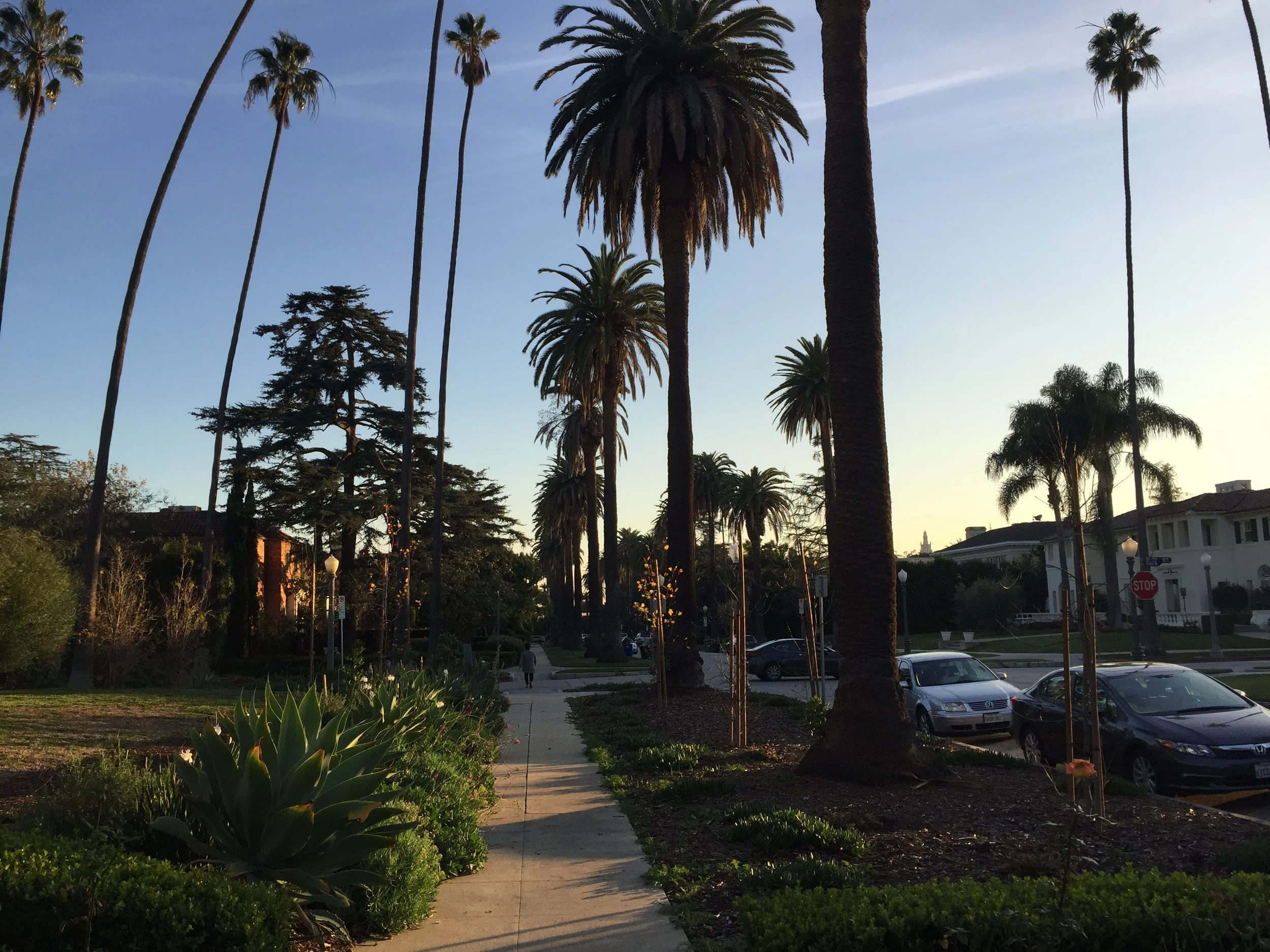 The deep end approach.