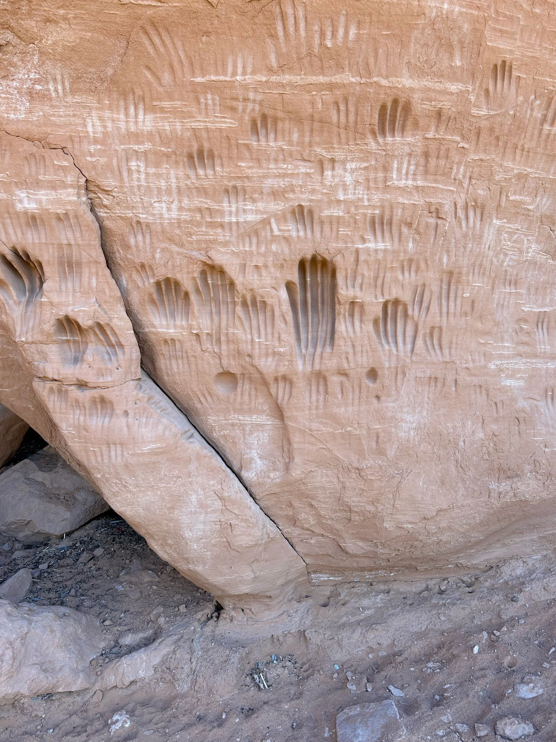 end of last week photo dump