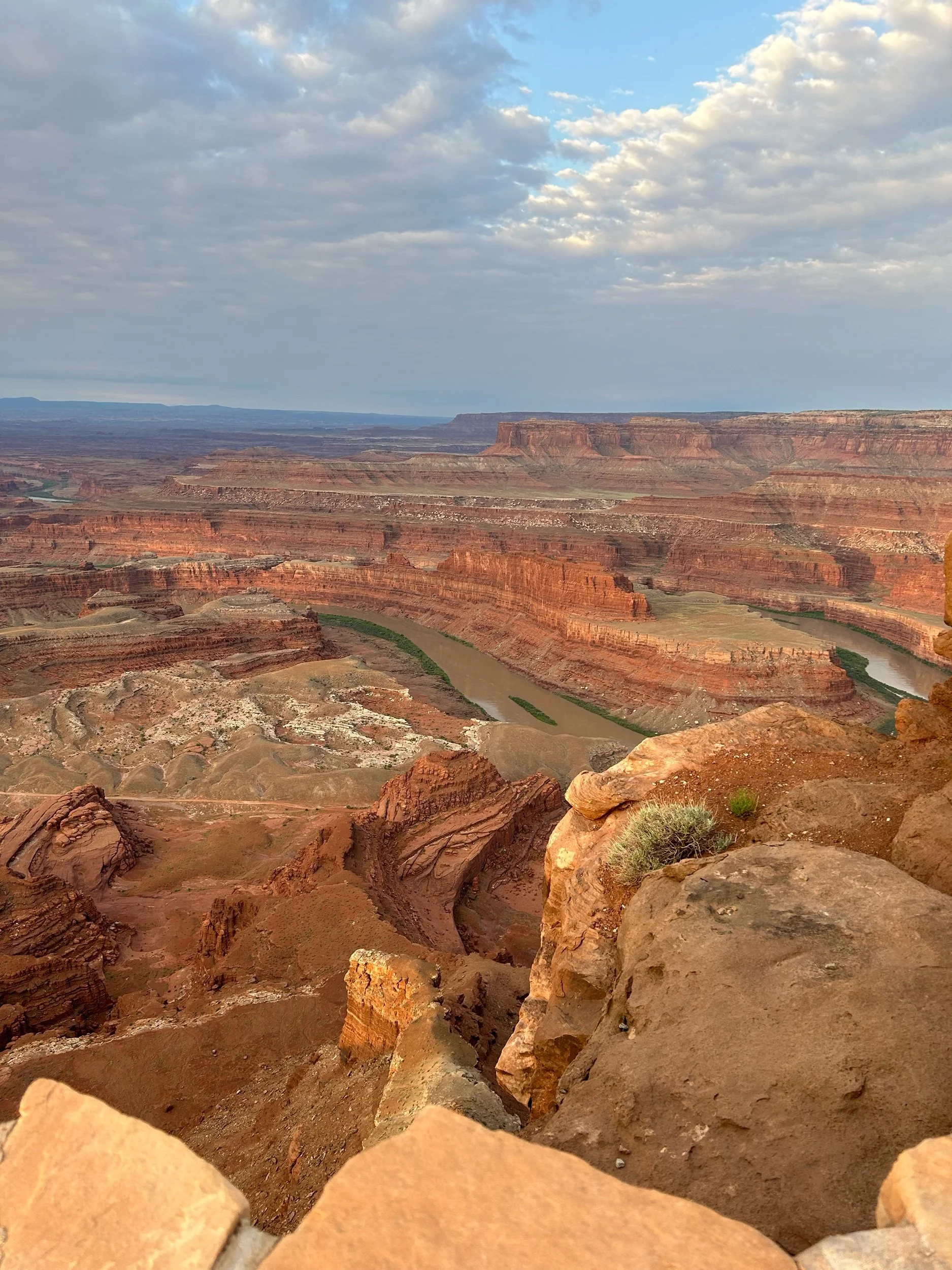 i’m not crying, you’re crying