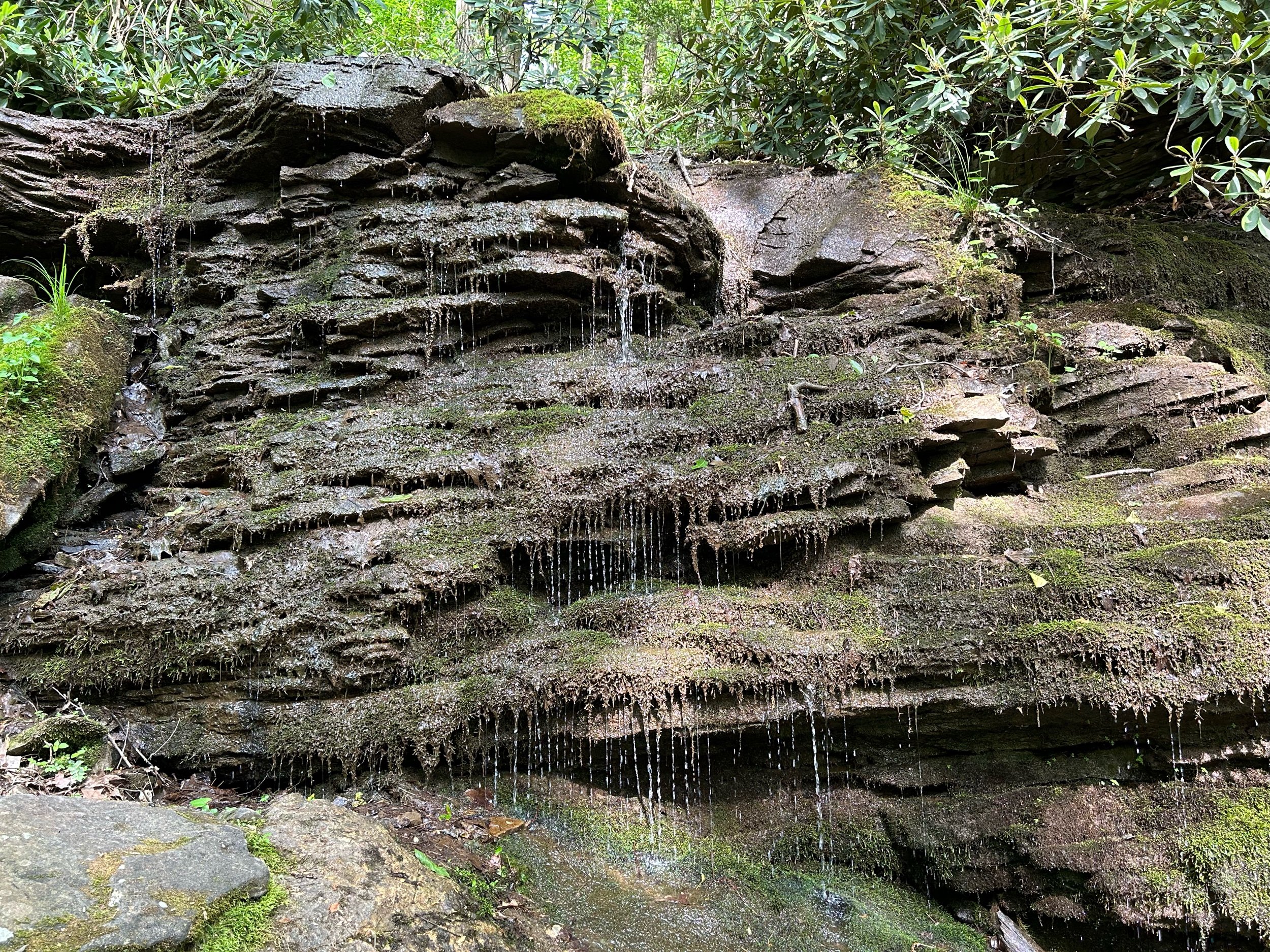  A small drippy waterfall over multilayered shale (?) rock formations and a lot of greenery 