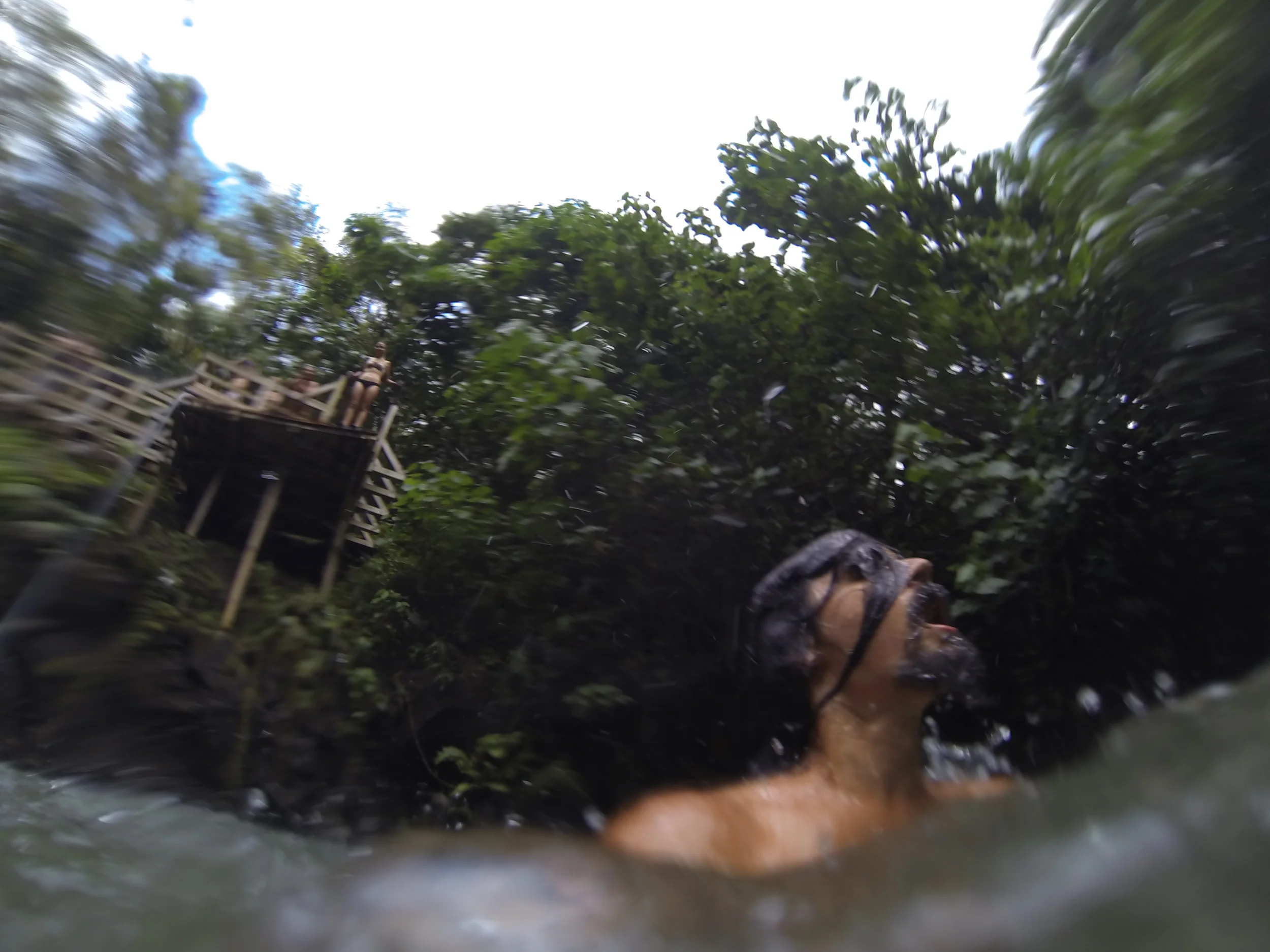 If I was the Sun way up there I'd go with love most everywhere