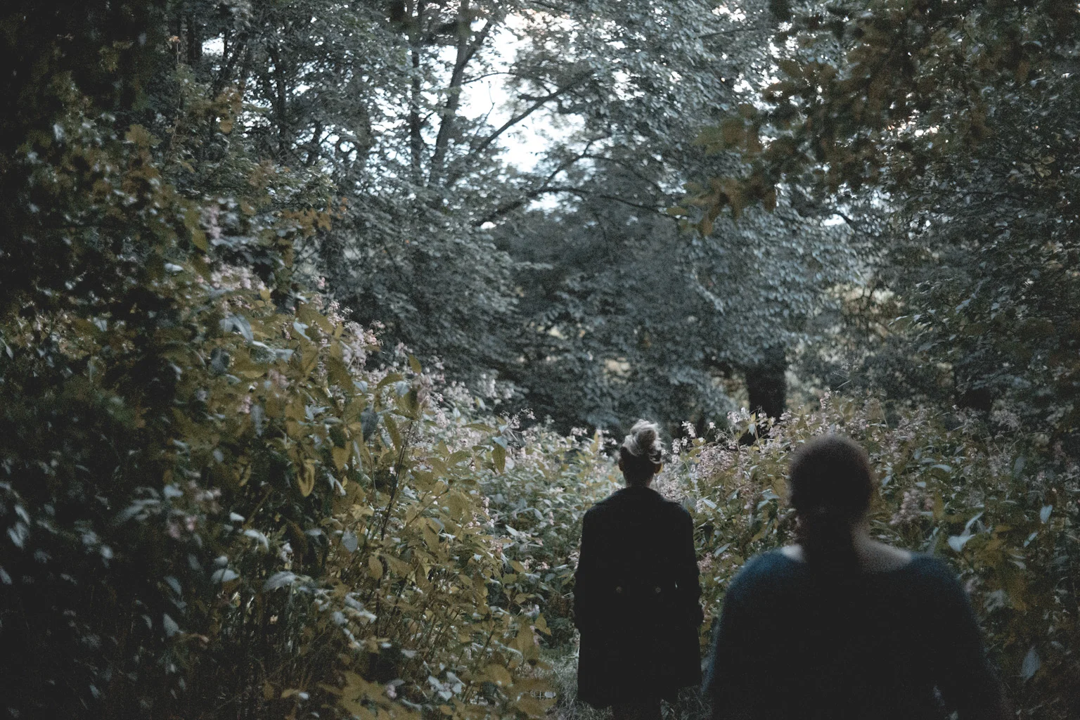 So we can toss our suitcase into the wind at last