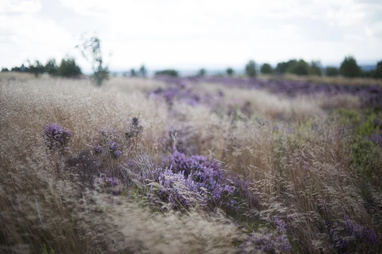 But she's still got infinity ahead of her