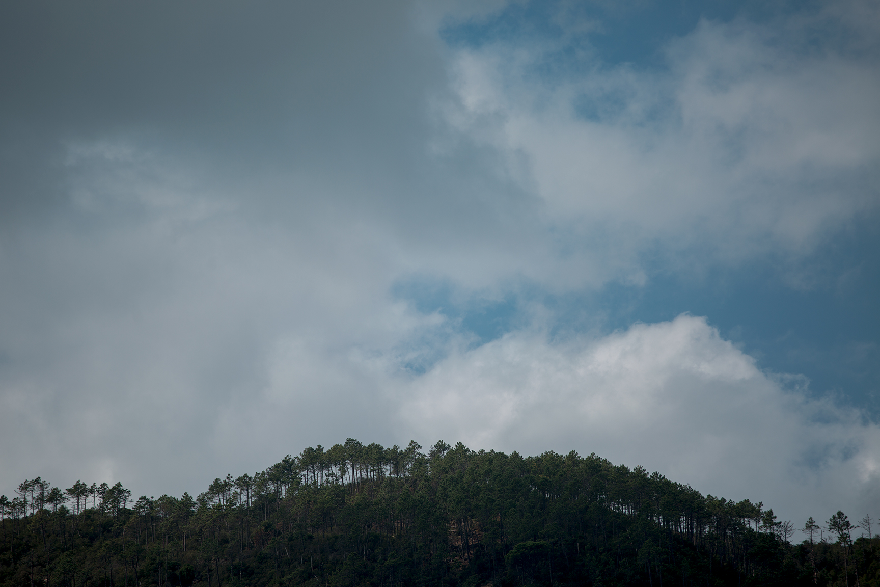 TravelandBloomCinqueTerre_024.jpg