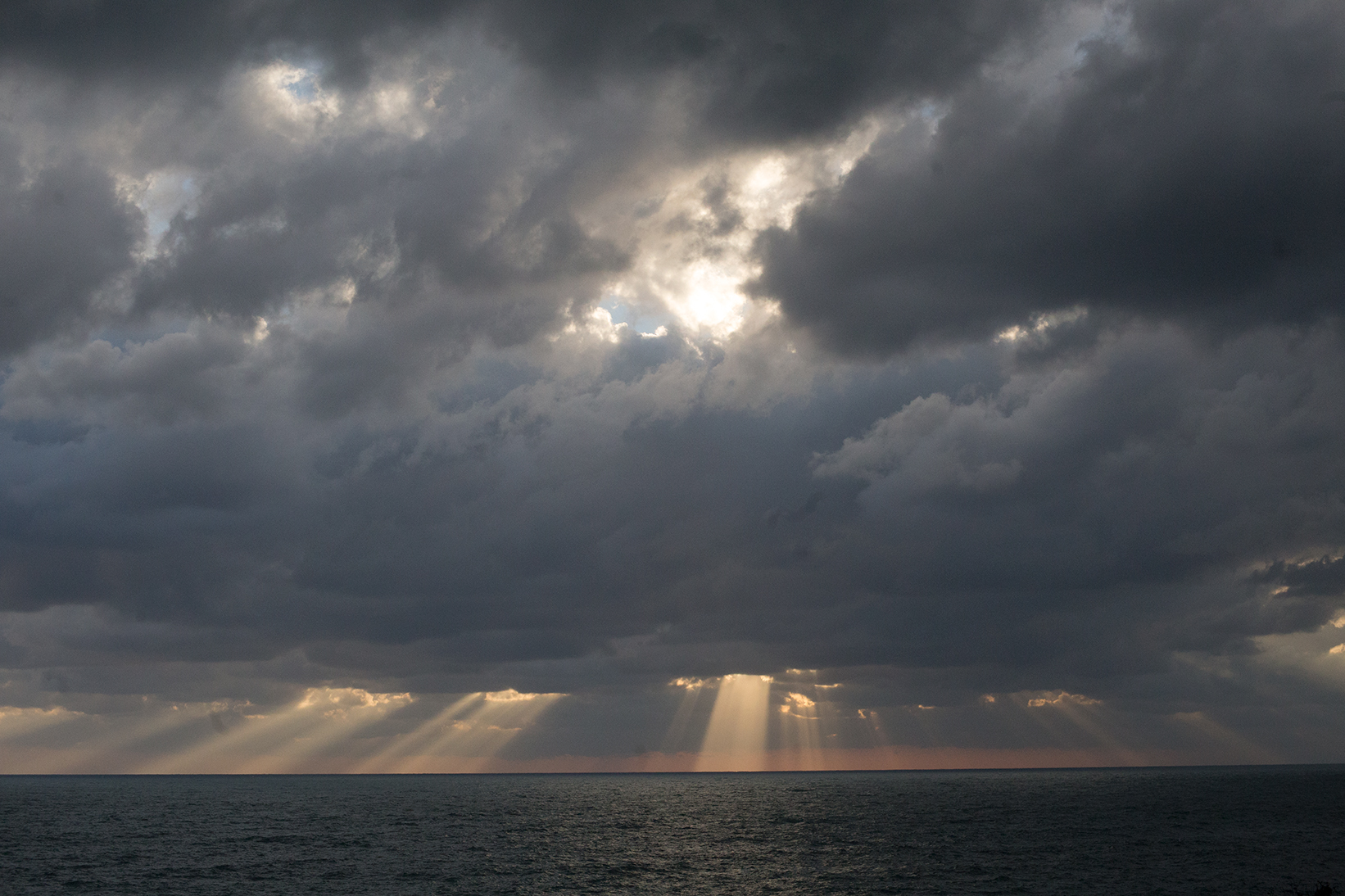 TravelandBloomCinqueTerre_090.jpg