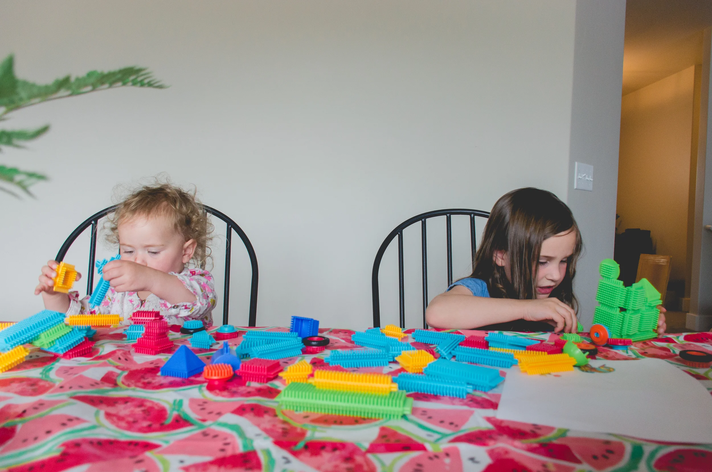 I used to love Bristle Blocks when I was a kid. Thank you Amazon for helping me relive my youth! Haha.