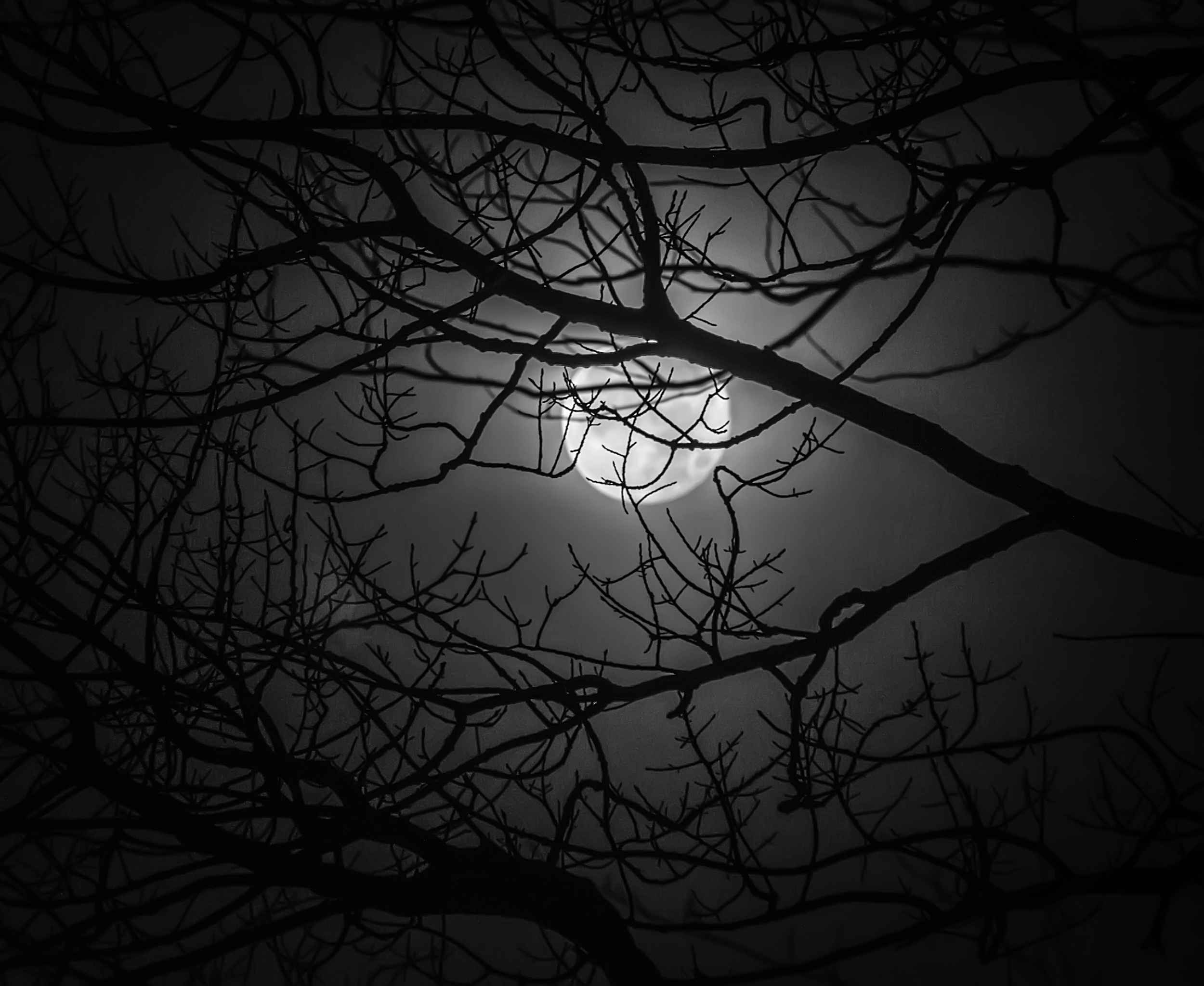 Before Dawn