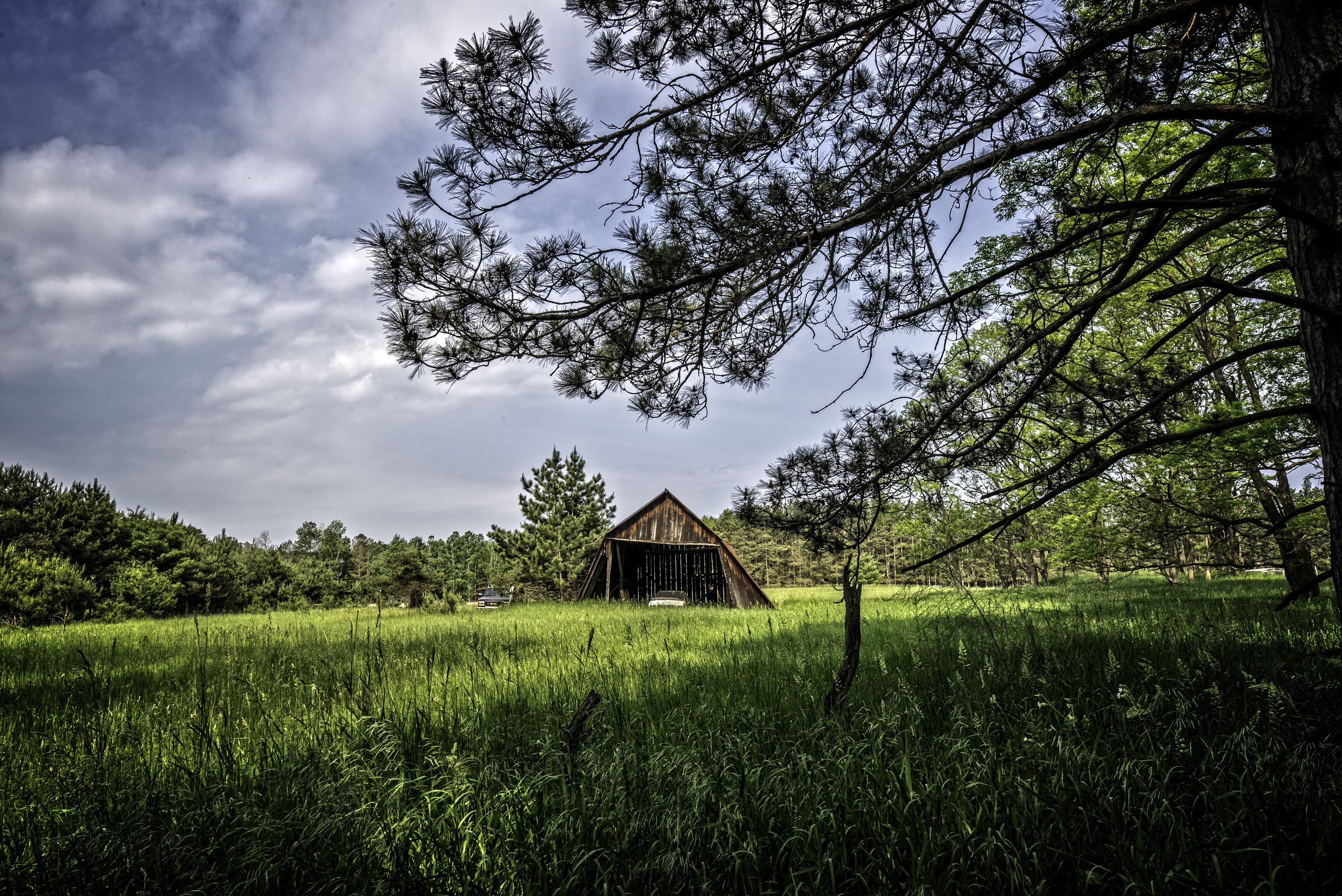 A Meditation on Aging