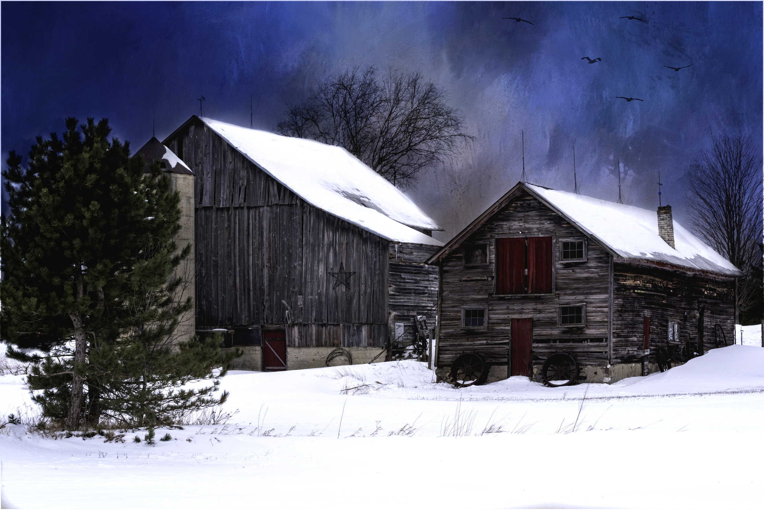 Winter Barn and Shed