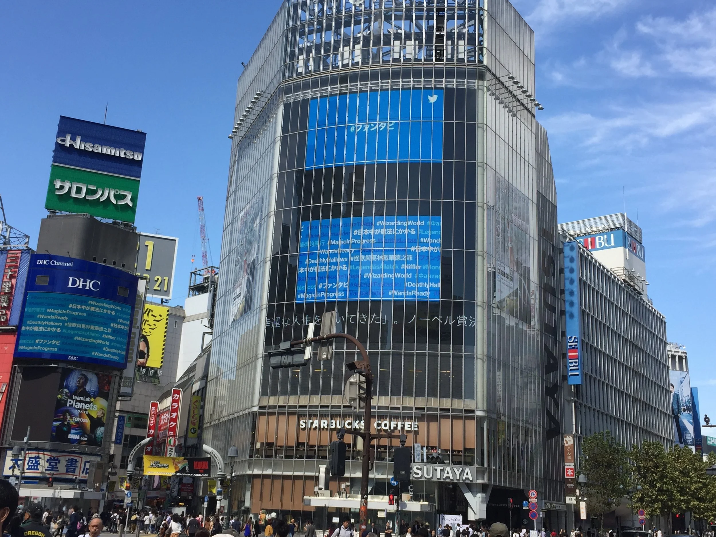 IMG_2006.jpeg