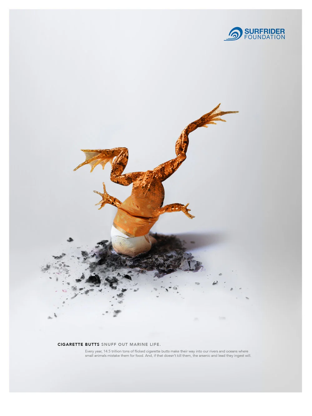 Snuffed-out-life_frog-2_1080.jpg
