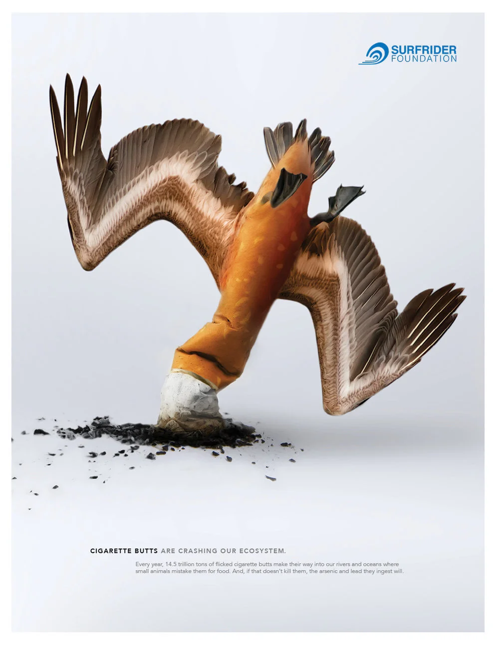 Snuffed-out-life_bird-3_1080.jpg