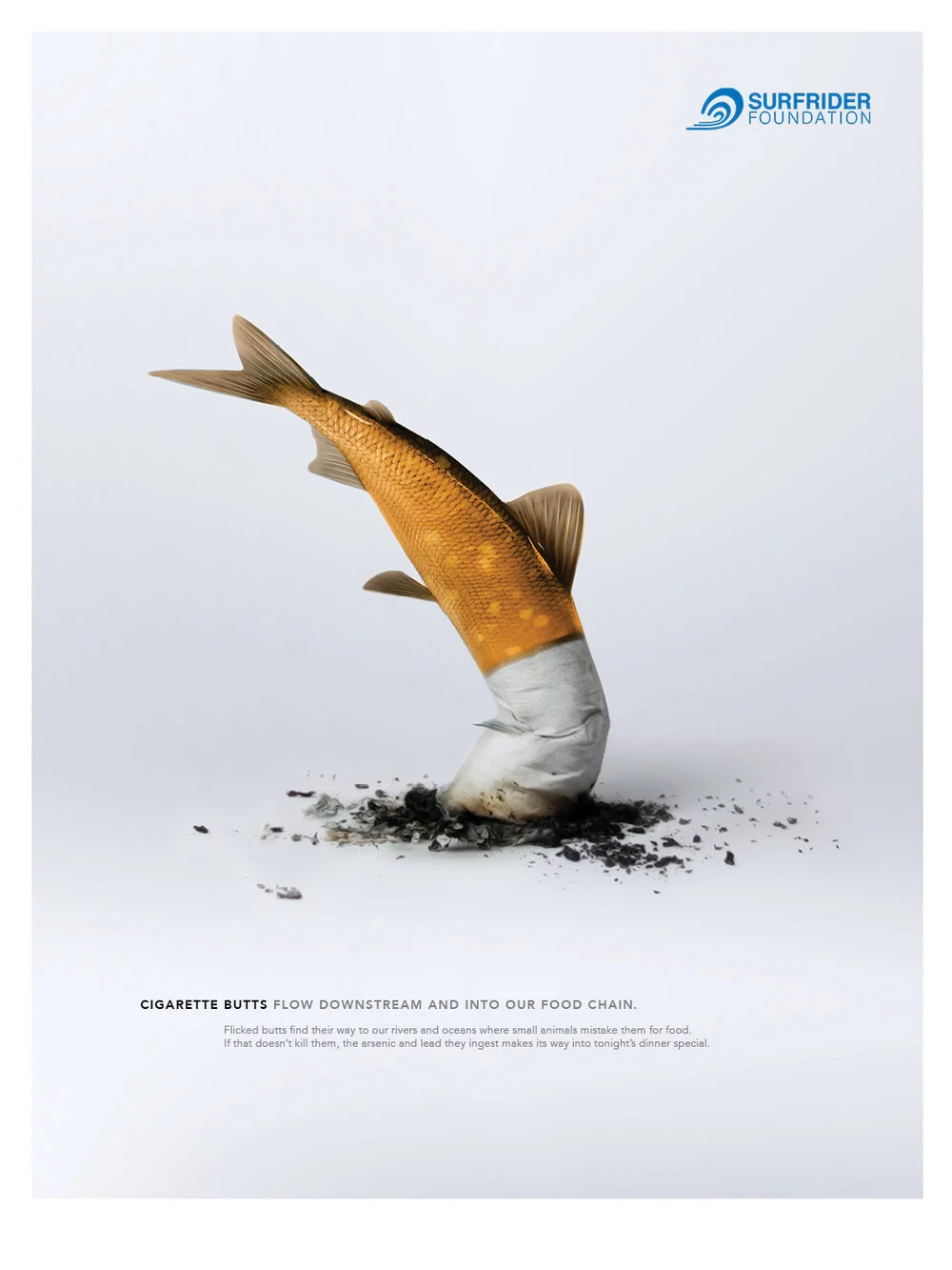 Snuffed-out-life_fish-_1080.jpg