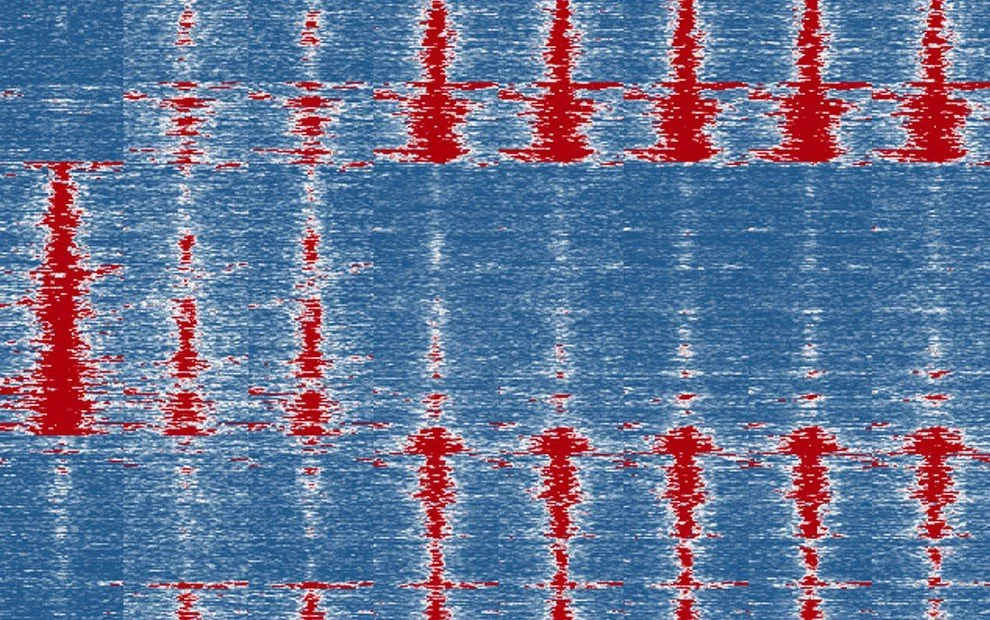 for publications_ATAC_cluster_DESeq_minusGroups_all_cluster.jpg