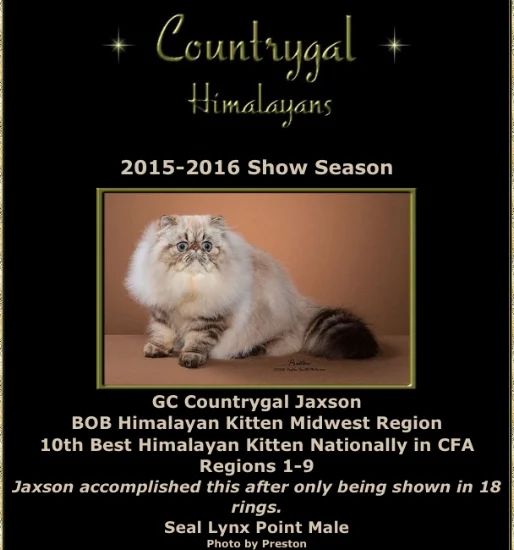 GC Countrygal Jaxson (grandson)