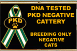 FIV/FeLV/PKD DNA neg