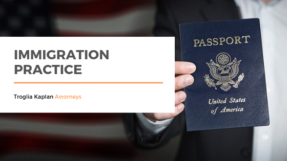 Introducing Immigration Practice.png