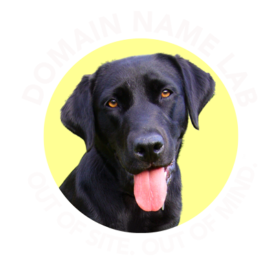 DOMAIN NAME LAB