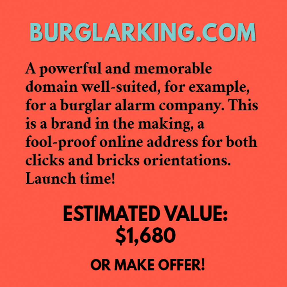 BURGLARKING.COM