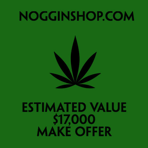 Nogginshop.jpg