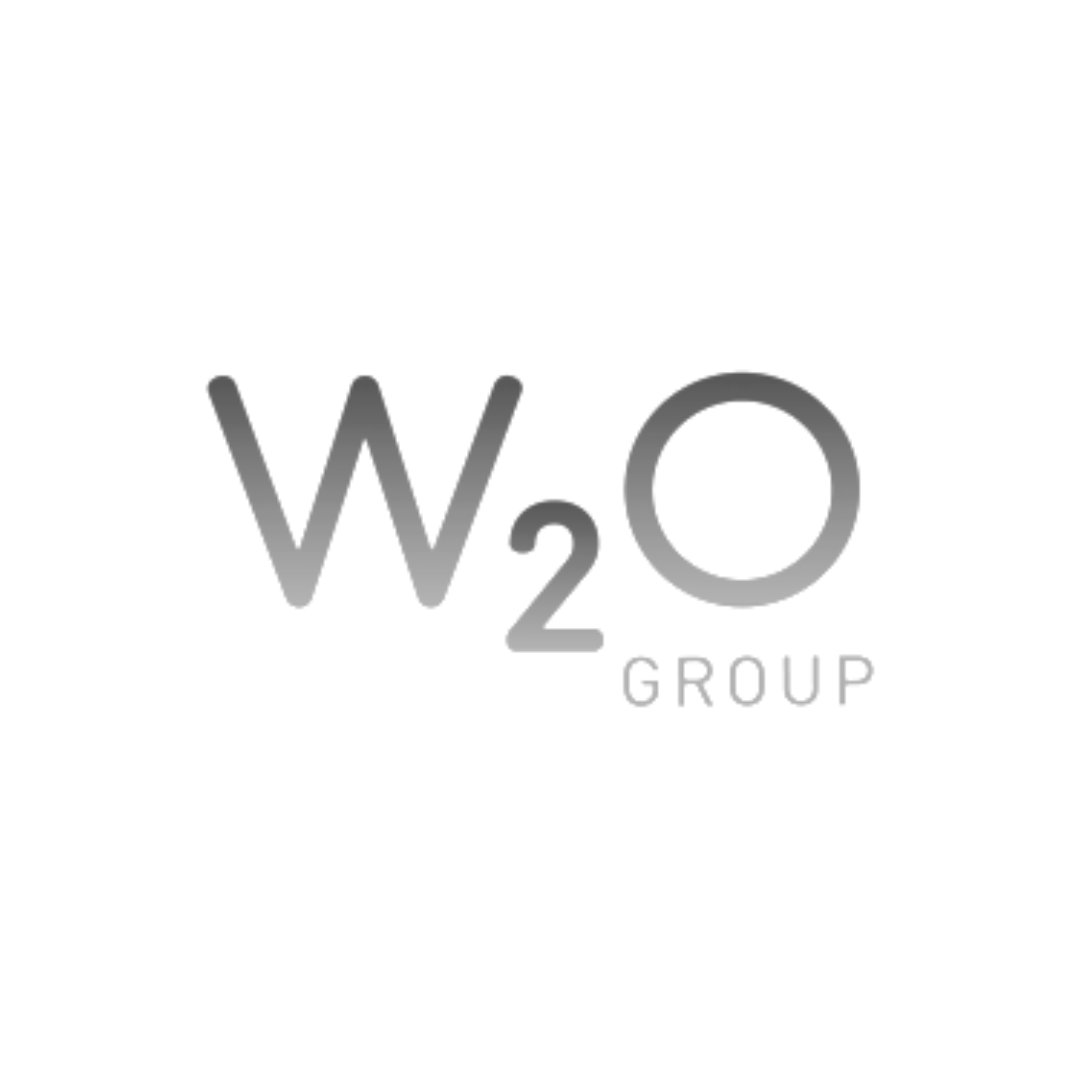 W2O King Toledo Logo.png