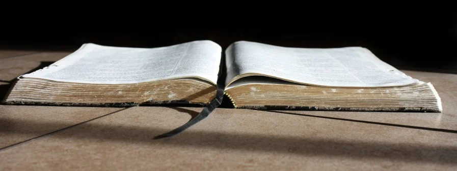 bible.graphic.jpg