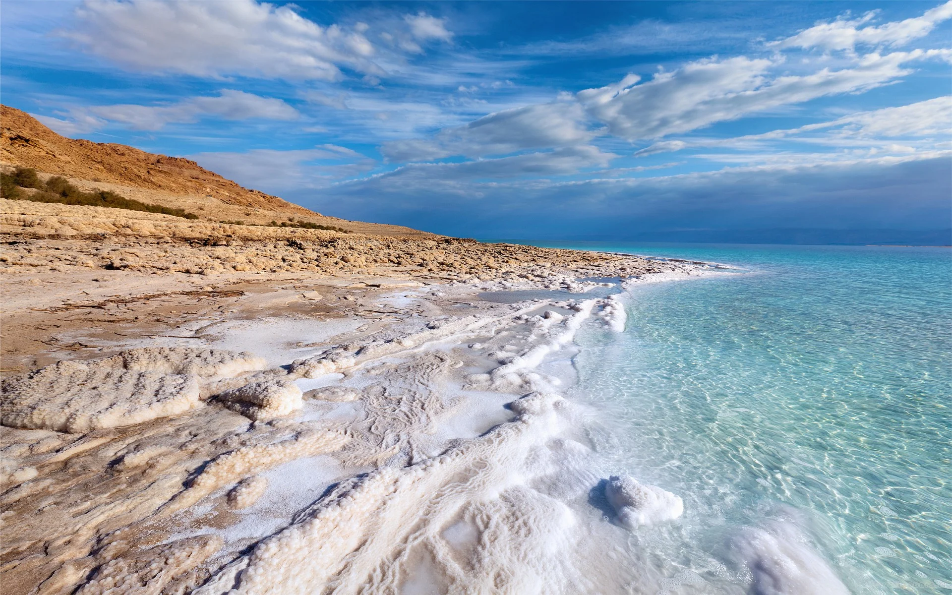 The Dead Sea