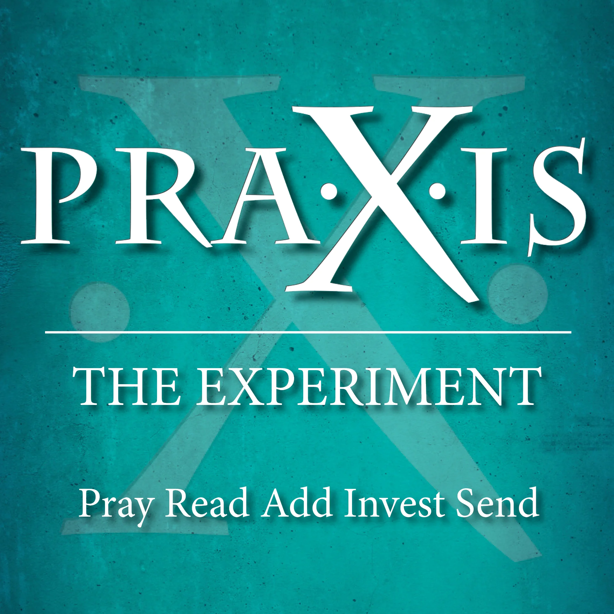 PRAXIS Bulletin Cover Image.jpg