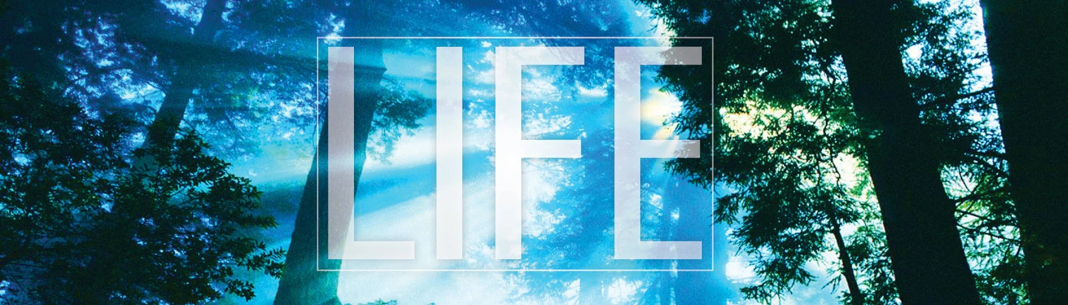 LIFE Web Banner.jpg
