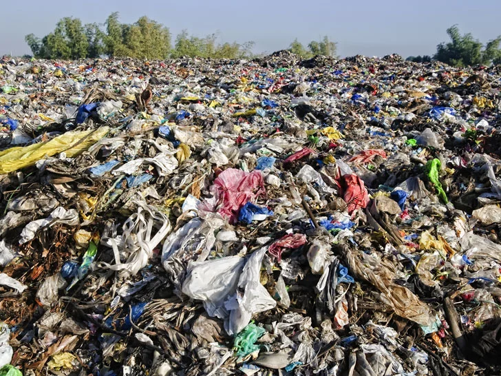 Trash.jpg