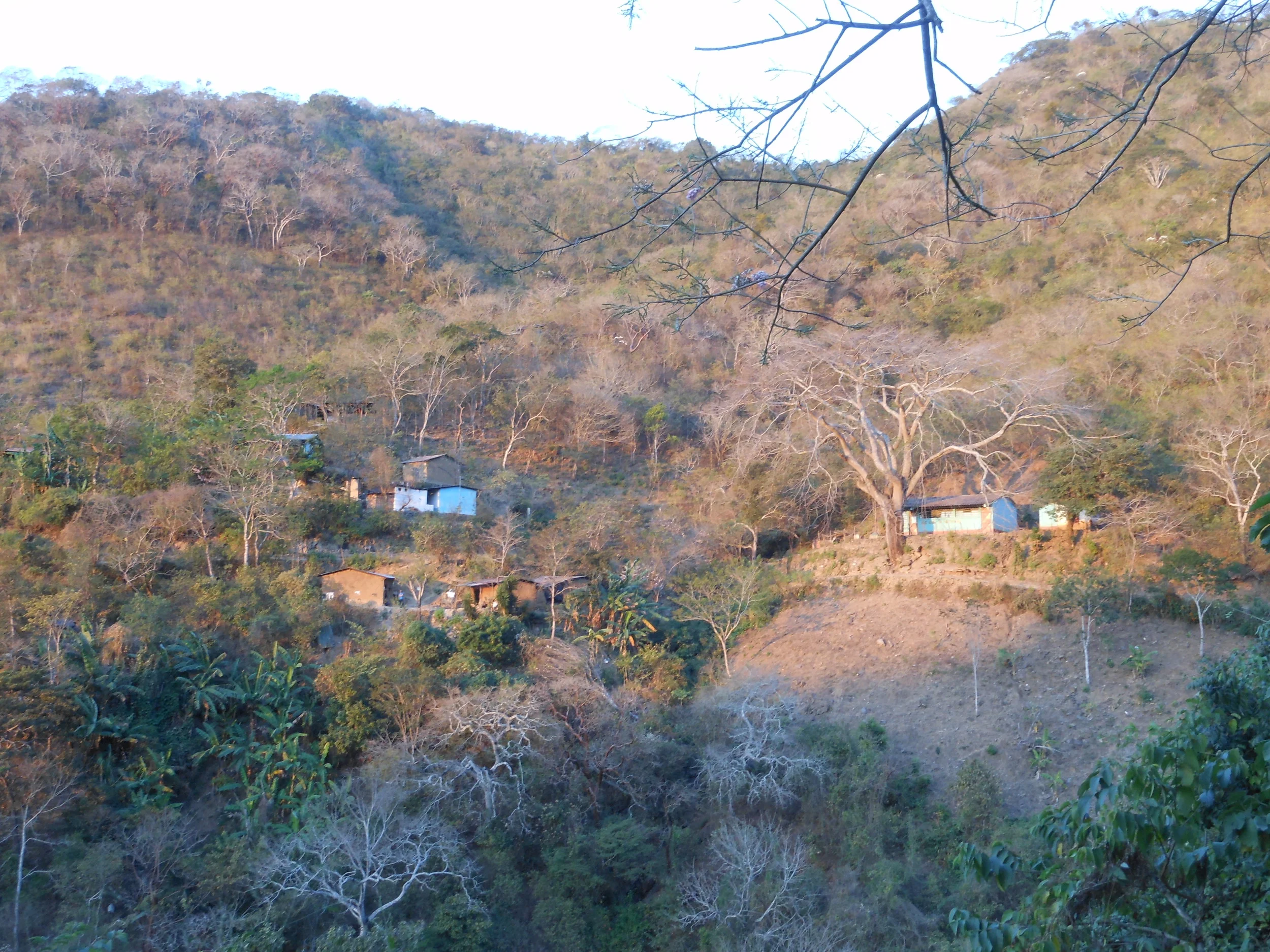 SeeforYourself Hillside.JPG