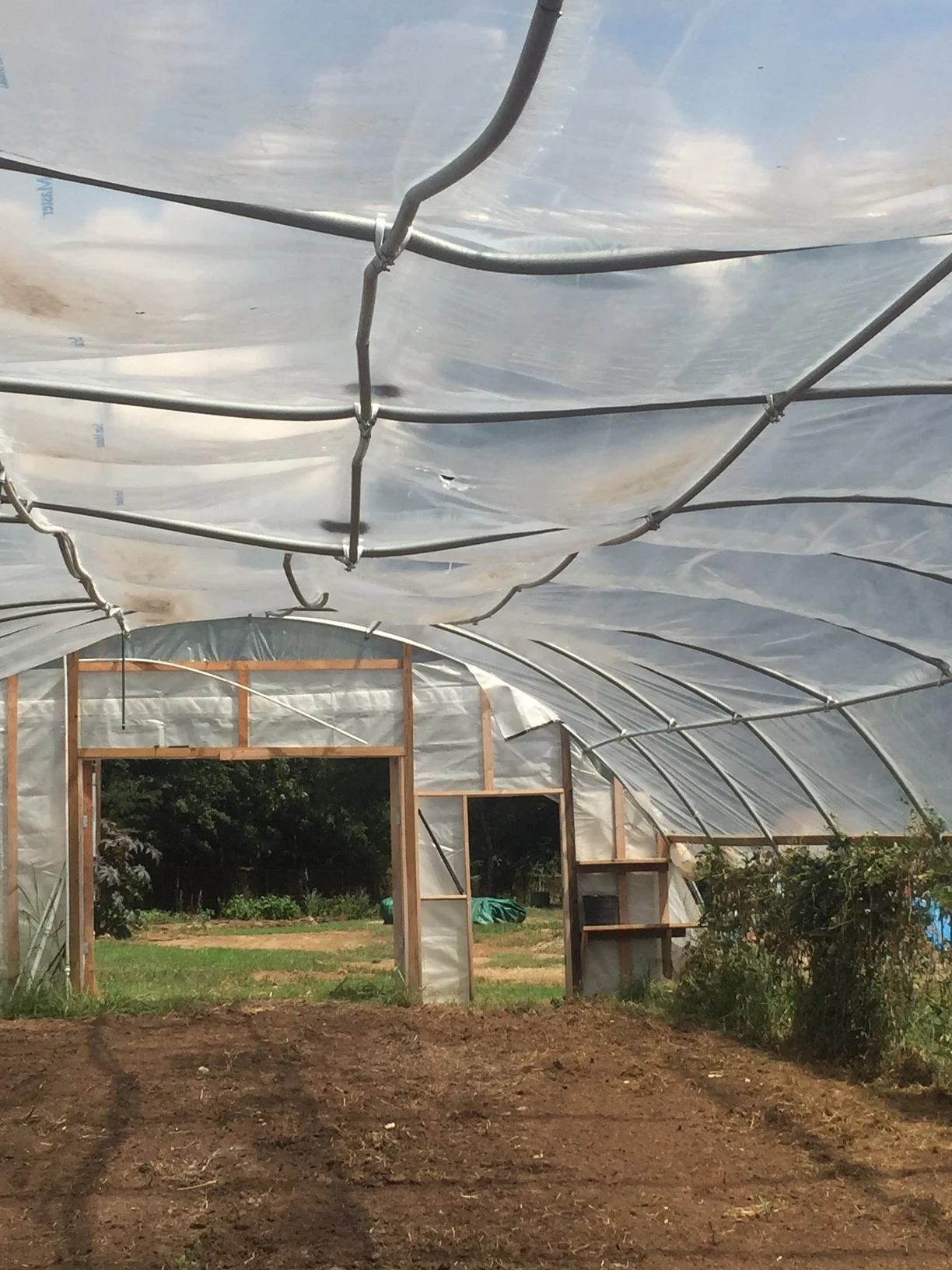 Collapsed high tunnel at Urban Sprouts Farms