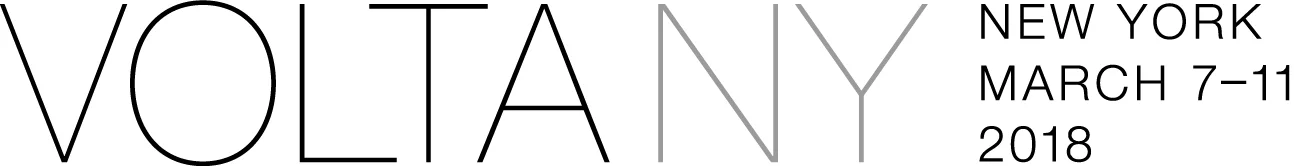 VOLTA-NY-01.jpg