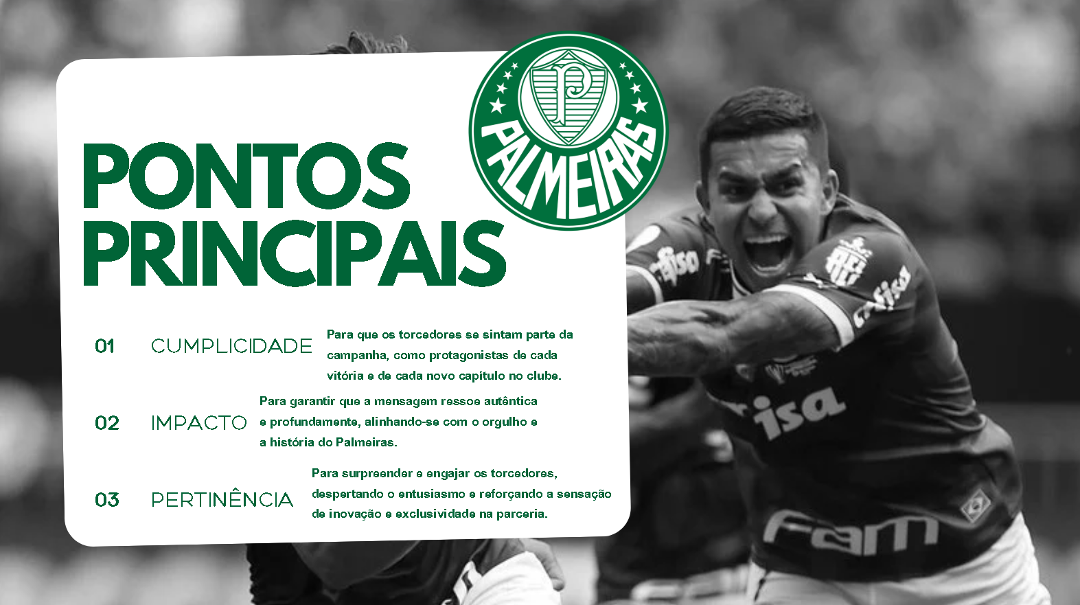 palmeiras 3.png