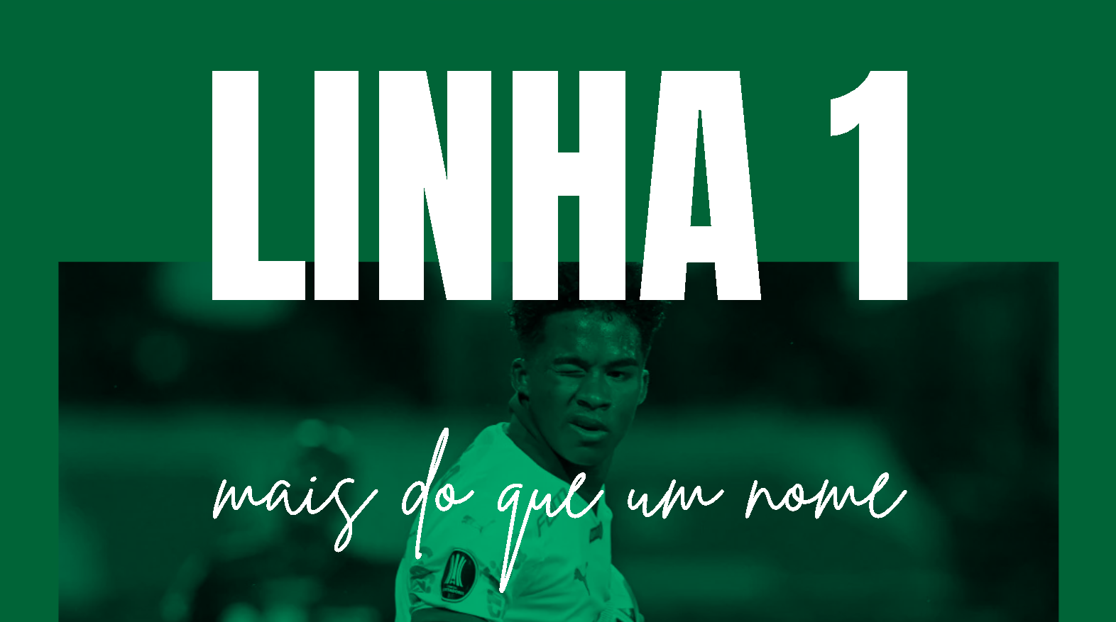 palmeiras 4.png