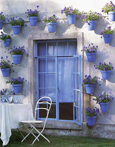 Pansies_Blue.jpg