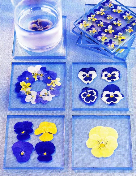 Pansies_Coaster.jpg