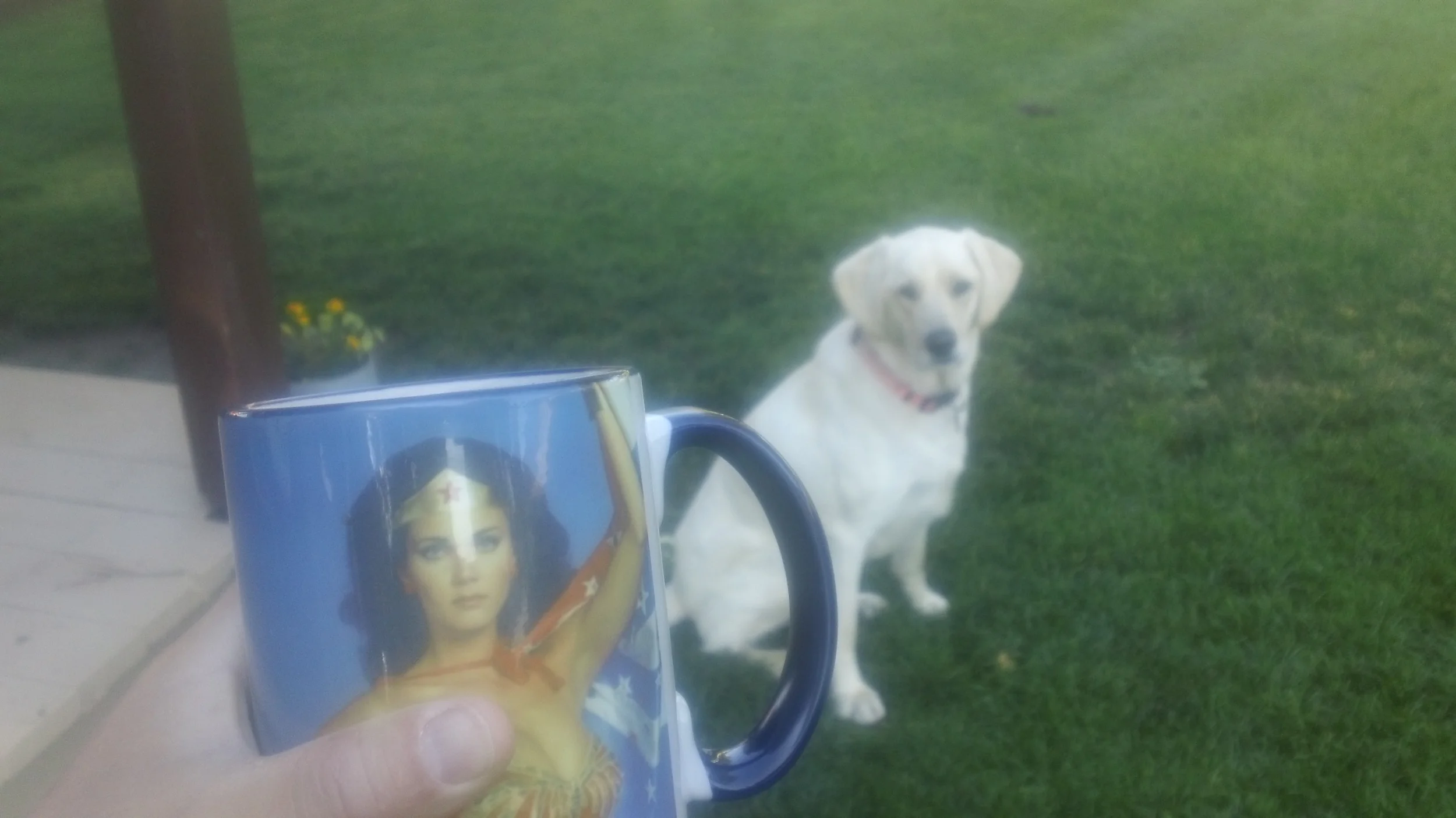 Wonder Woman and Alice joined me for the morning pick.