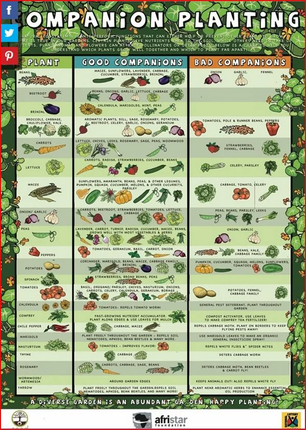 Rotating Garden Crops Chart Fasci Garden